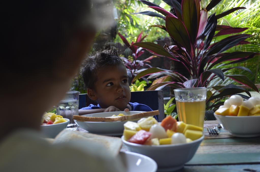 Indo Rumah Zengarden Buleleng  ภายนอก รูปภาพ