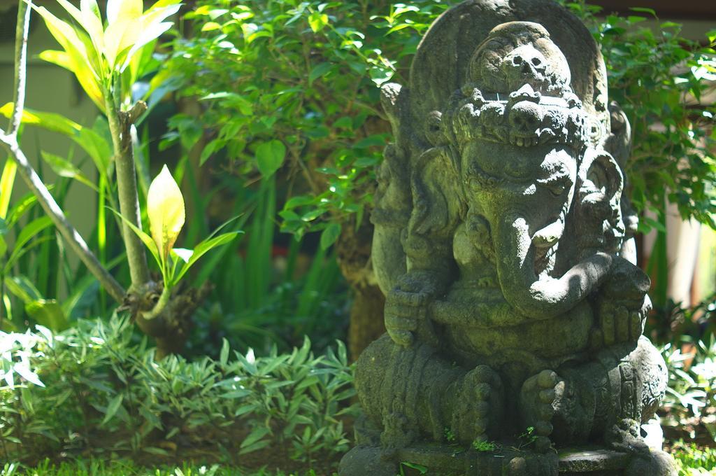 Indo Rumah Zengarden Buleleng  ห้อง รูปภาพ