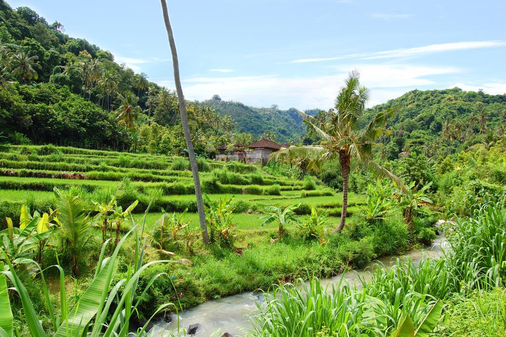 Indo Rumah Zengarden Buleleng  ภายนอก รูปภาพ
