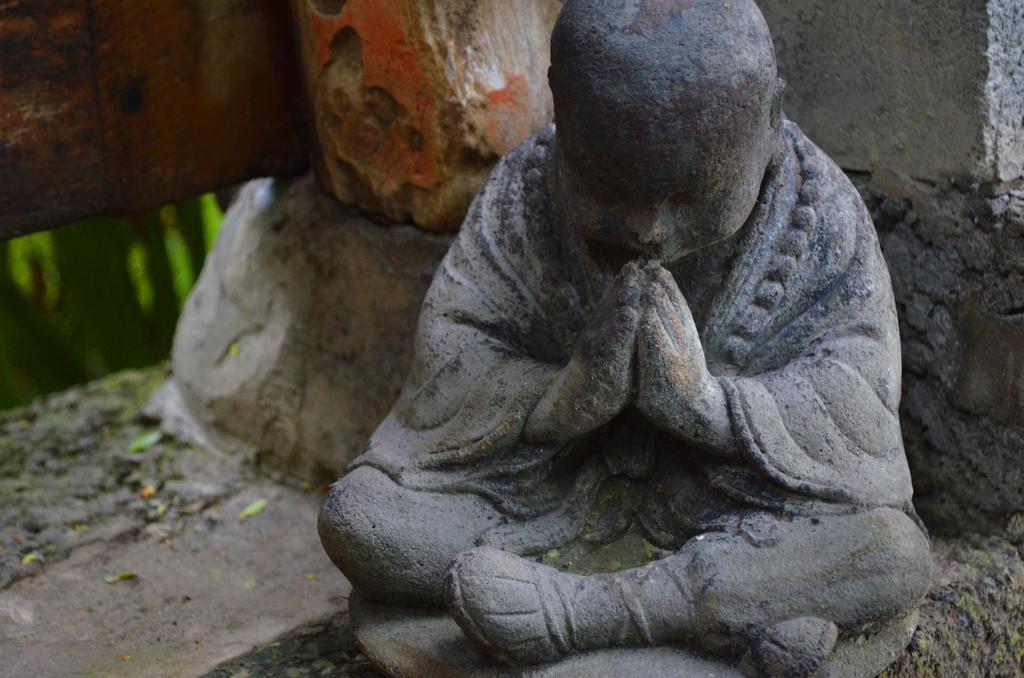 Indo Rumah Zengarden Buleleng  ภายนอก รูปภาพ
