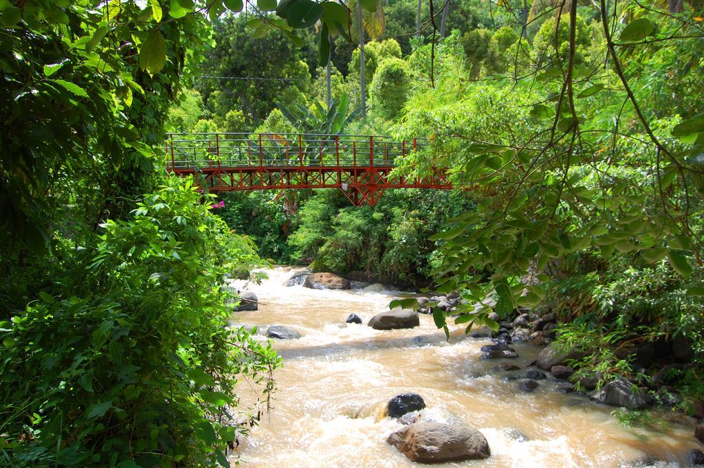 Indo Rumah Zengarden Buleleng  ภายนอก รูปภาพ