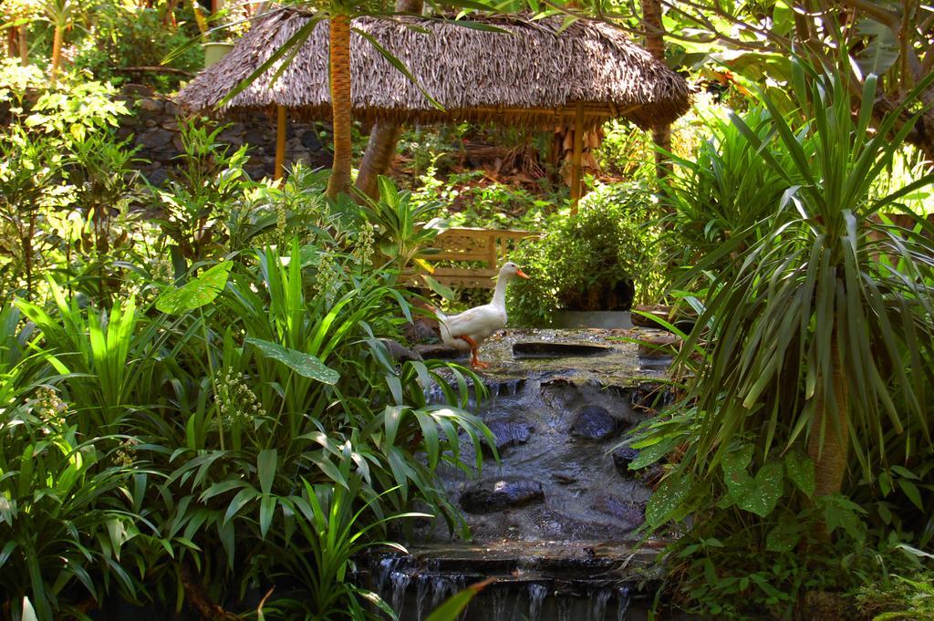 Indo Rumah Zengarden Buleleng  ภายนอก รูปภาพ