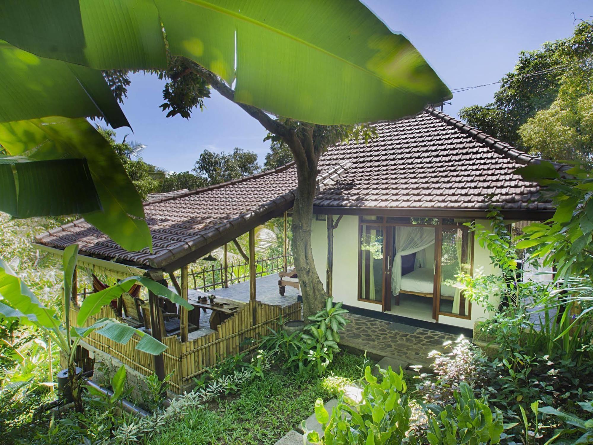 Indo Rumah Zengarden Buleleng  ภายนอก รูปภาพ