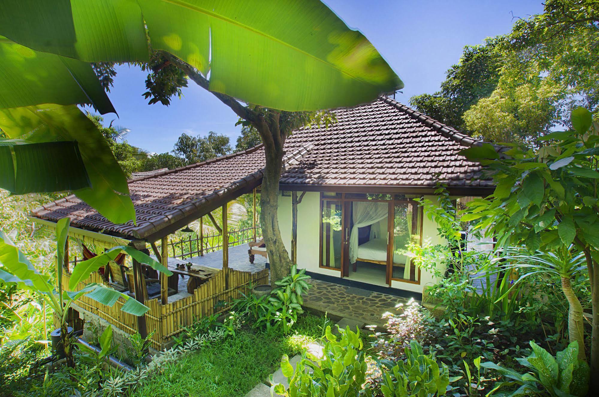 Indo Rumah Zengarden Buleleng  ภายนอก รูปภาพ